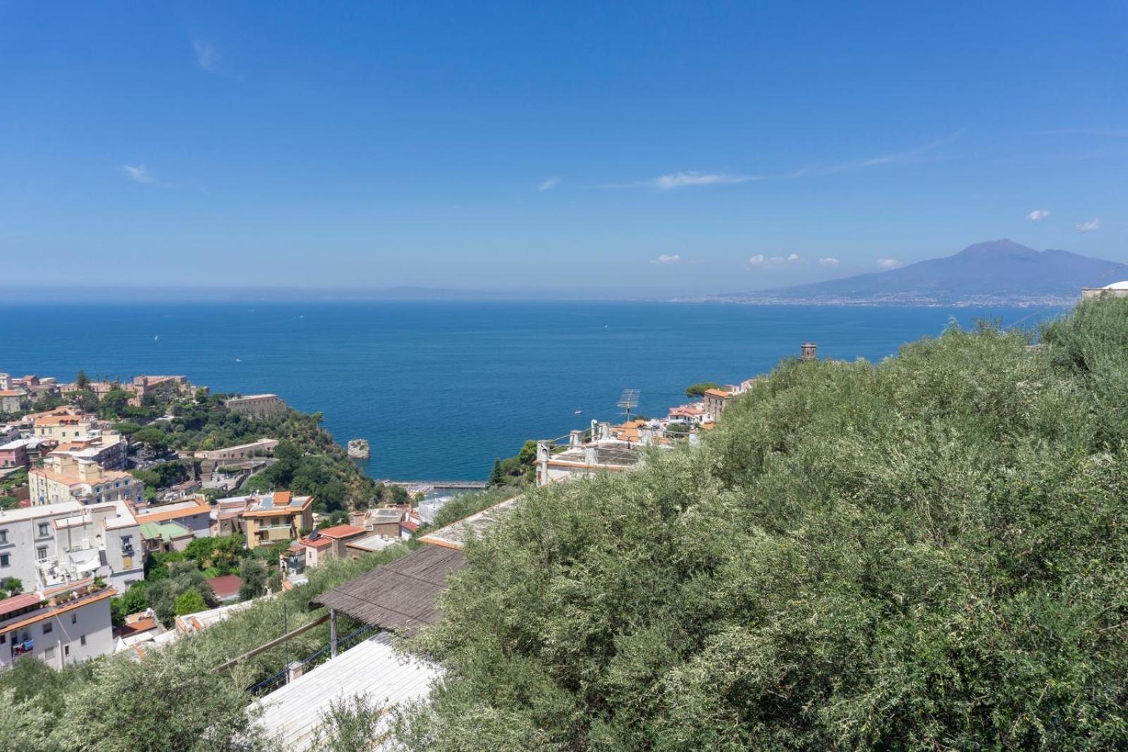 Appartamento In Villa Ariel Vico Equense Extérieur photo